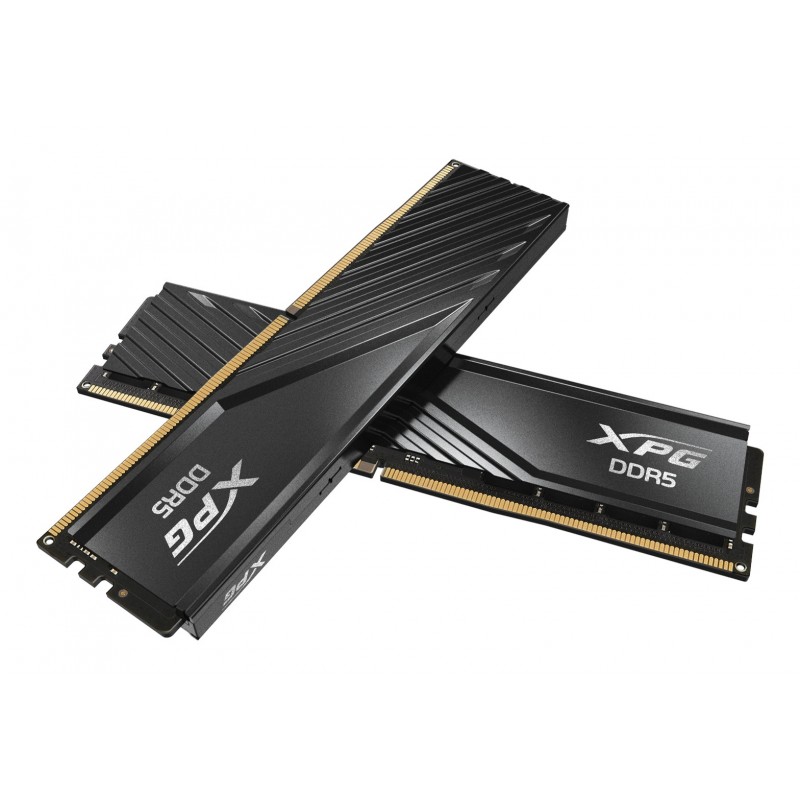 XPG LANCER BLADE DDR5 memoria 16 GB 2 x 8 GB 5600 MHz Data Integrity Check (verifica integrità dati)