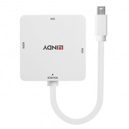 Lindy 41035 cavo e adattatore video 0,2 m Bianco