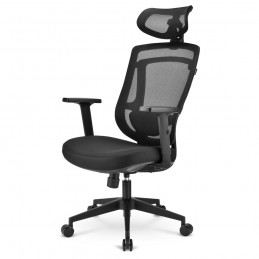 https://www.fileimmagini.it/prodth/OFFICEPALC10.jpg