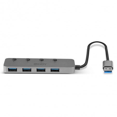 Lindy 43309 hub di interfaccia USB 3.2 Gen 1 (3.1 Gen 1) Type-A 5 Mbit s Grigio