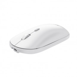 Trust Lyra tastiera Mouse incluso Universale RF senza fili + Bluetooth QWERTY Italiano Bianco
