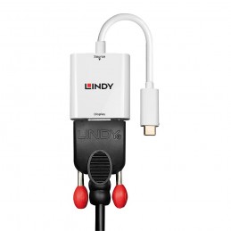 Lindy 43355 cavo e adattatore video USB tipo-C VGA (D-Sub) Bianco