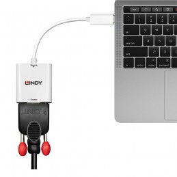 Lindy 43355 cavo e adattatore video USB tipo-C VGA (D-Sub) Bianco
