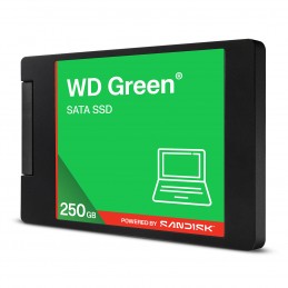 https://www.fileimmagini.it/prodth/WDS250G5G0A.jpg