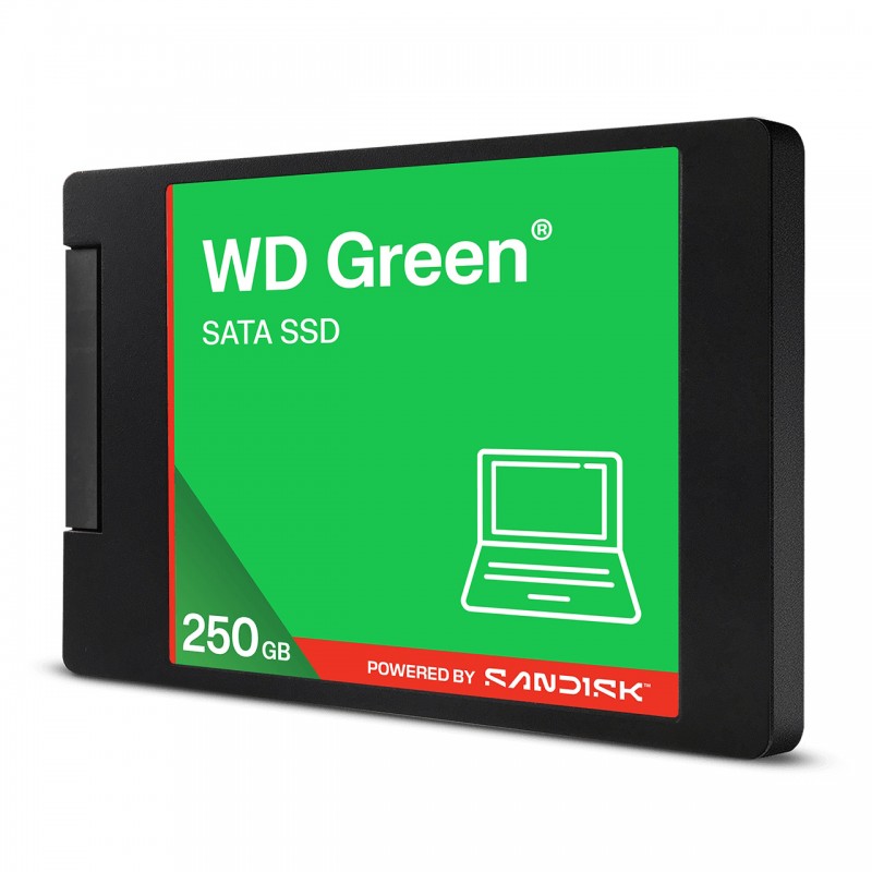 https://www.fileimmagini.it/prodth/WDS250G5G0A.jpg