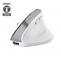 Trust Bayo+ mouse Ufficio Mano destra RF senza fili + Bluetooth Ottico 2400 DPI