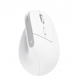 Trust Bayo+ mouse Ufficio Mano destra RF senza fili + Bluetooth Ottico 2400 DPI