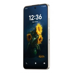 TCL 70 NXTPAPER Pro 17,5 cm (6.9") Doppia SIM Android 16.0 5G USB tipo-C 8 GB 256 GB 5200 mAh Oro