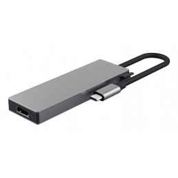 Trust 26062 hub di interfaccia USB tipo-C Grigio