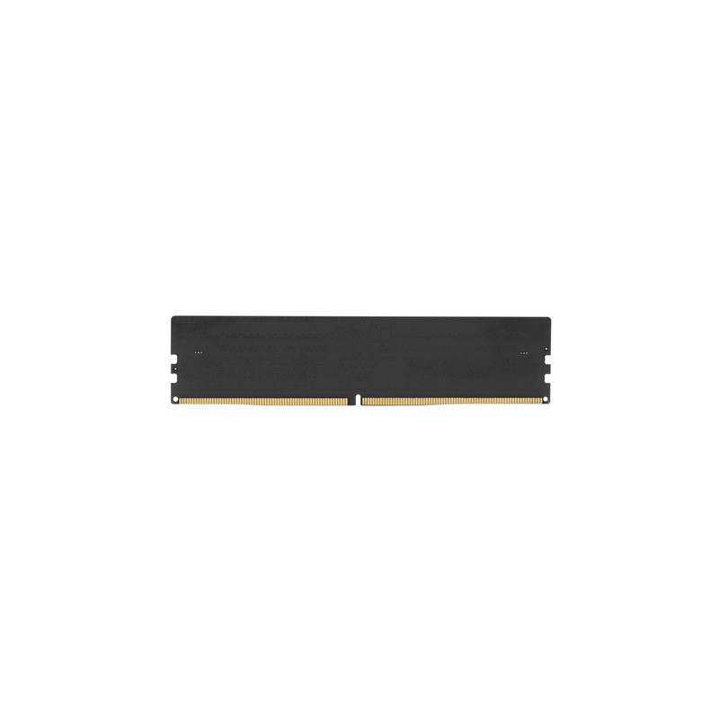 https://www.fileimmagini.it/prodth/GAP516GB5600C46SCICE_.jpg