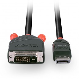 Lindy 41491 cavo e adattatore video 2 m DisplayPort HDMI Nero